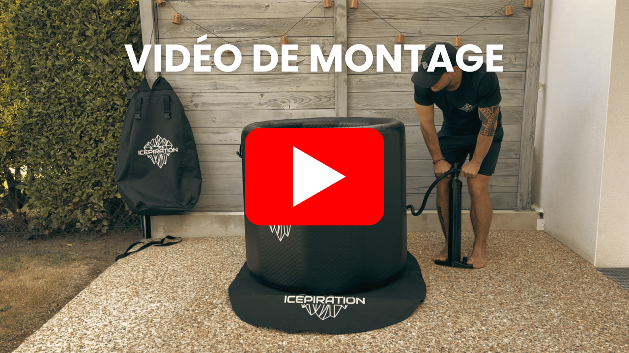 Charger la vidéo: 