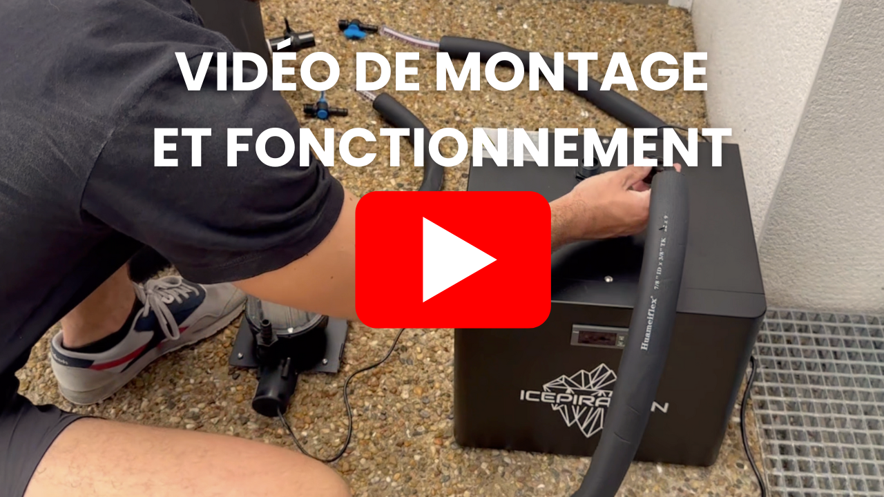 Charger la vidéo: 